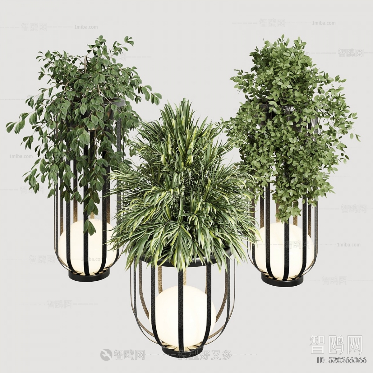 Modern Ground Green Plant Potted Plants