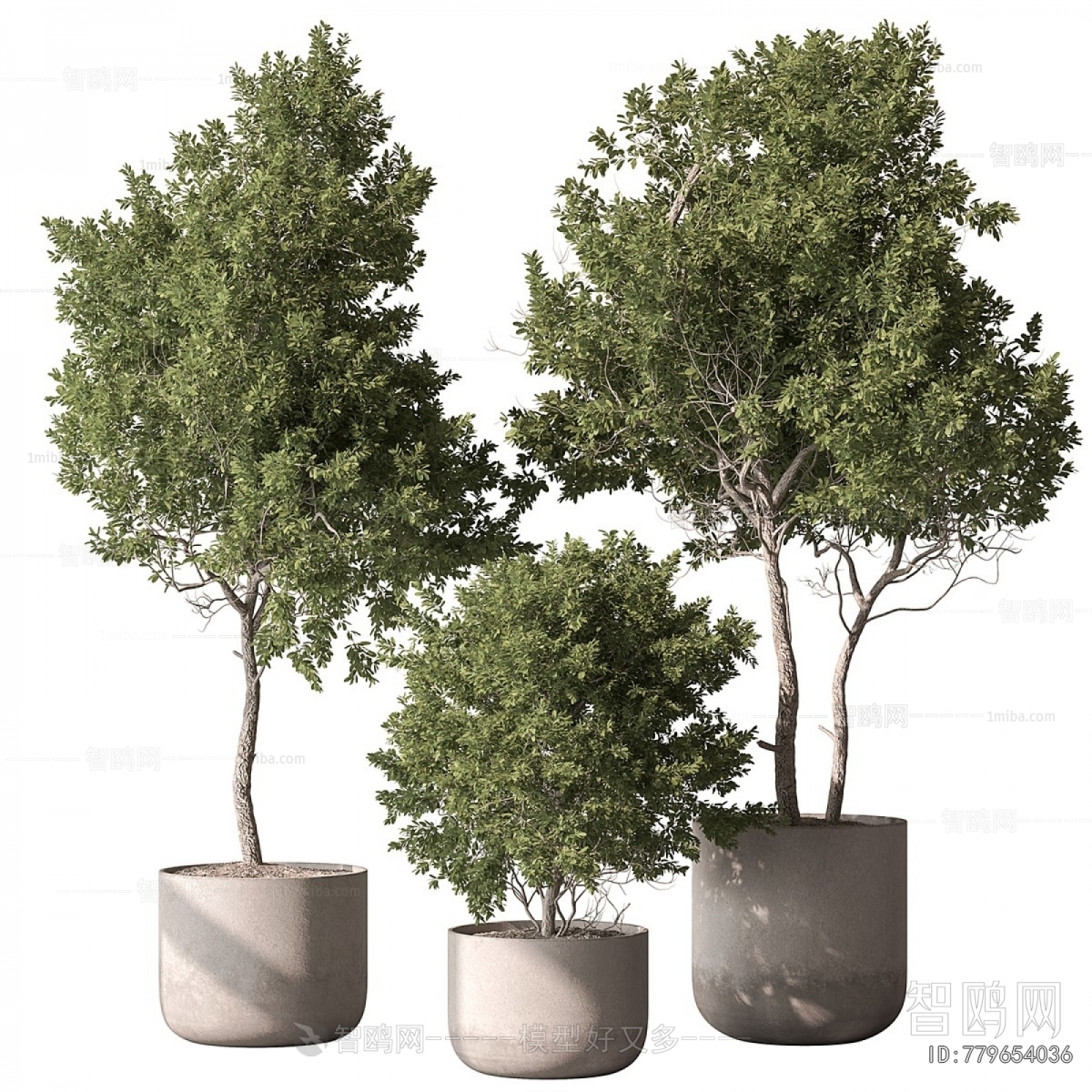 Modern Ground Green Plant Potted Plants