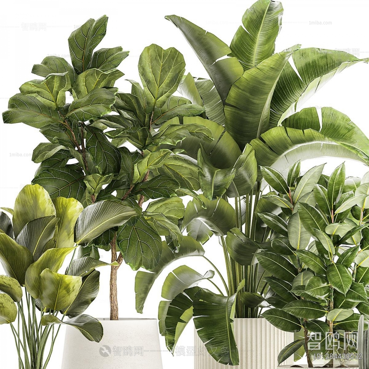 Modern Ground Green Plant Potted Plants
