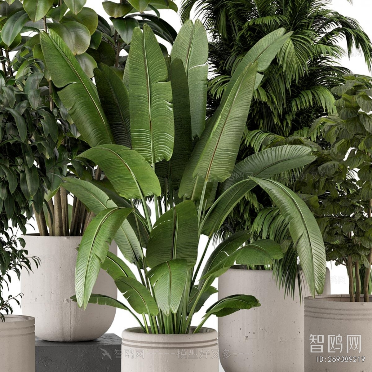 Modern Ground Green Plant Potted Plants