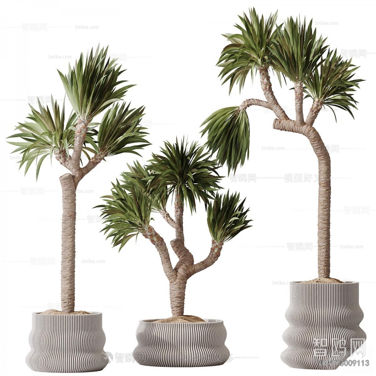 Modern Ground Green Plant Potted Plants