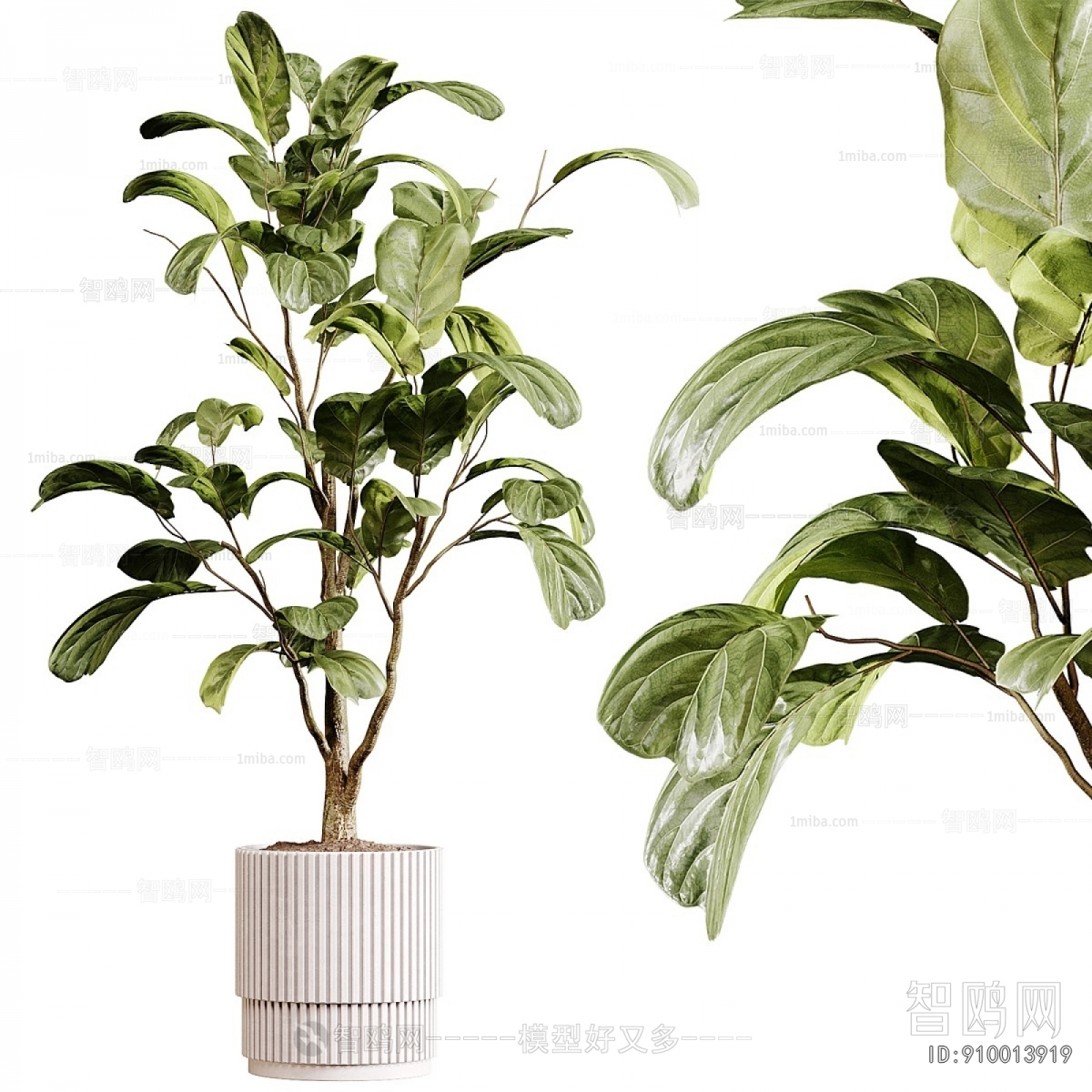 Modern Ground Green Plant Potted Plants