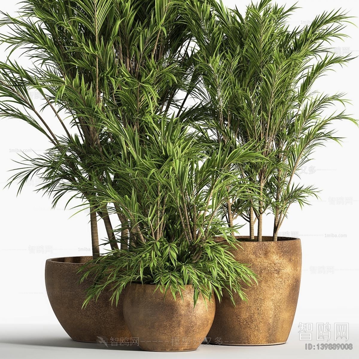 Modern Ground Green Plant Potted Plants