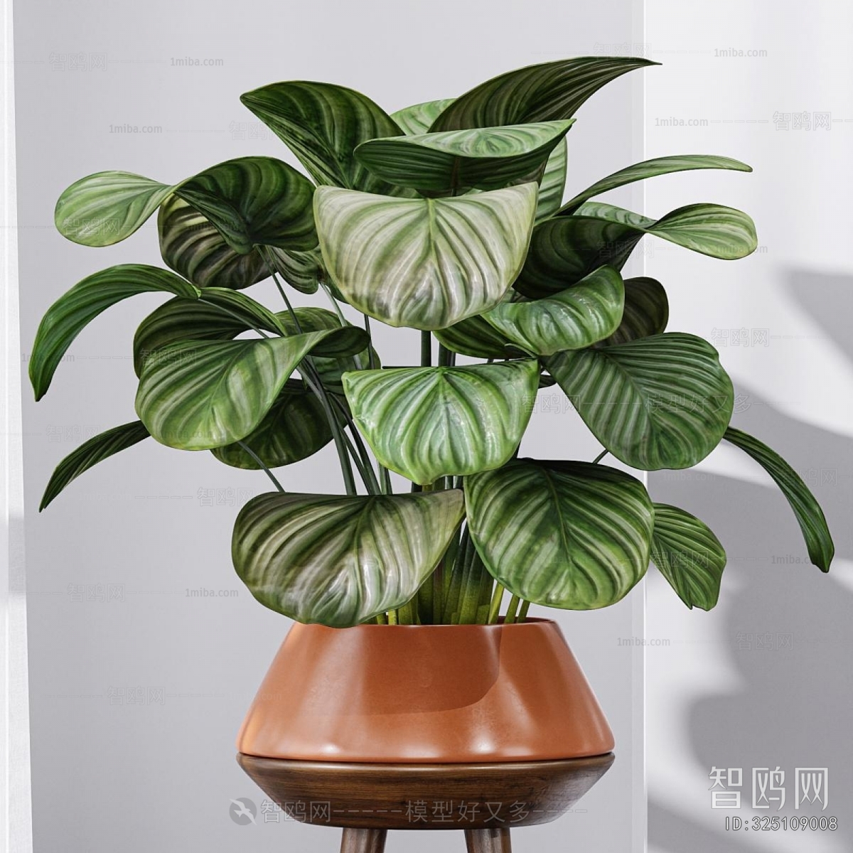 Modern Potted Green Plant