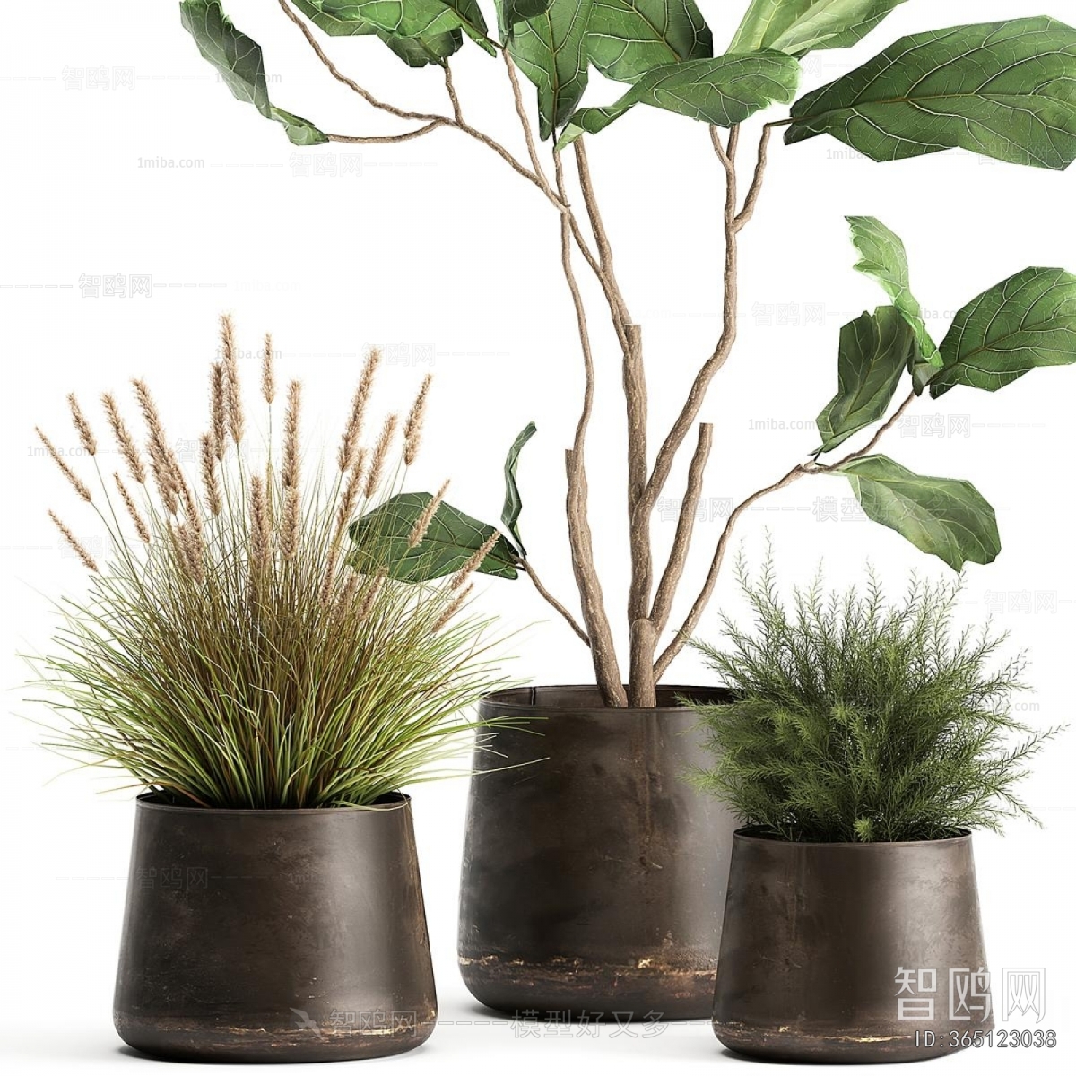 Modern Ground Green Plant Potted Plants