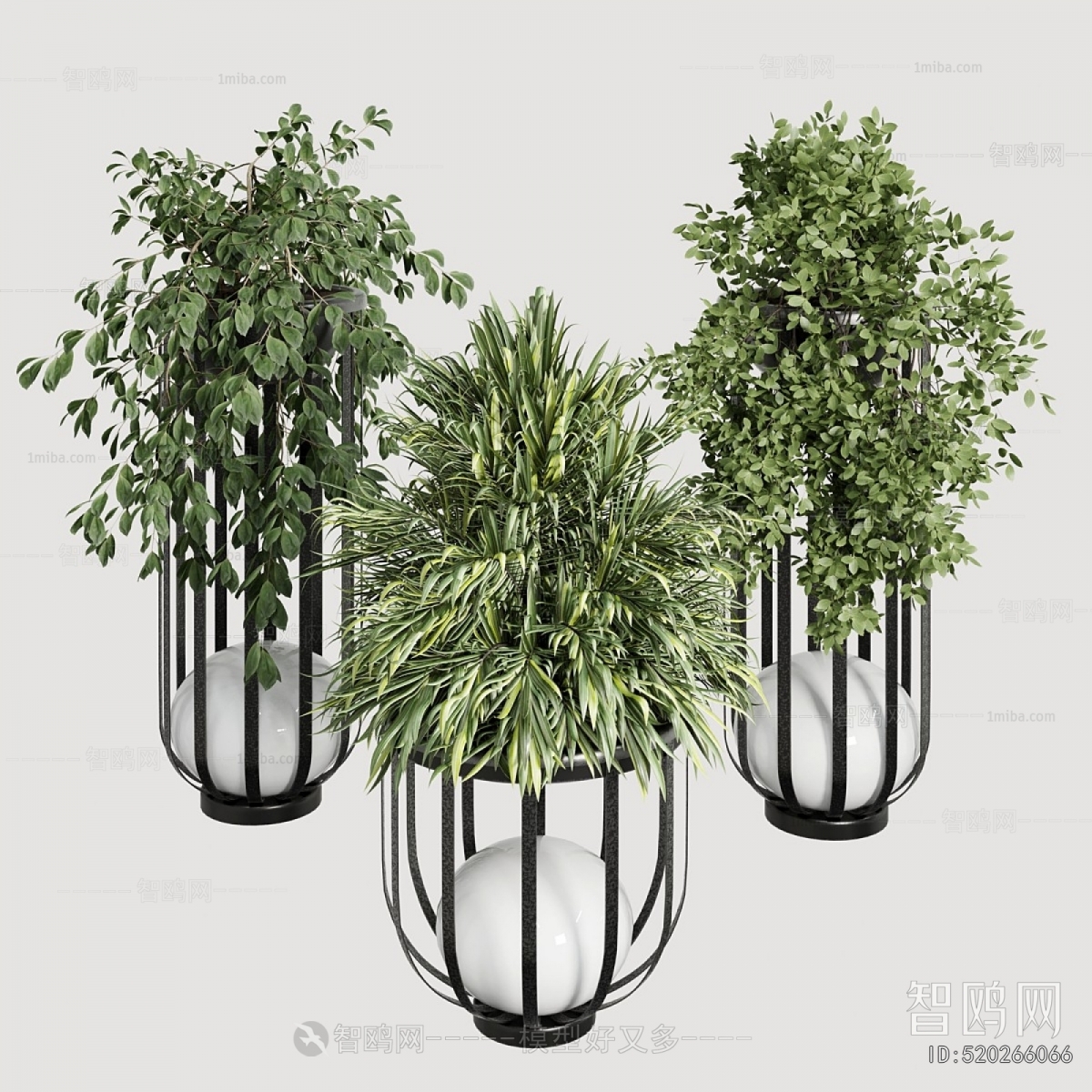 Modern Ground Green Plant Potted Plants