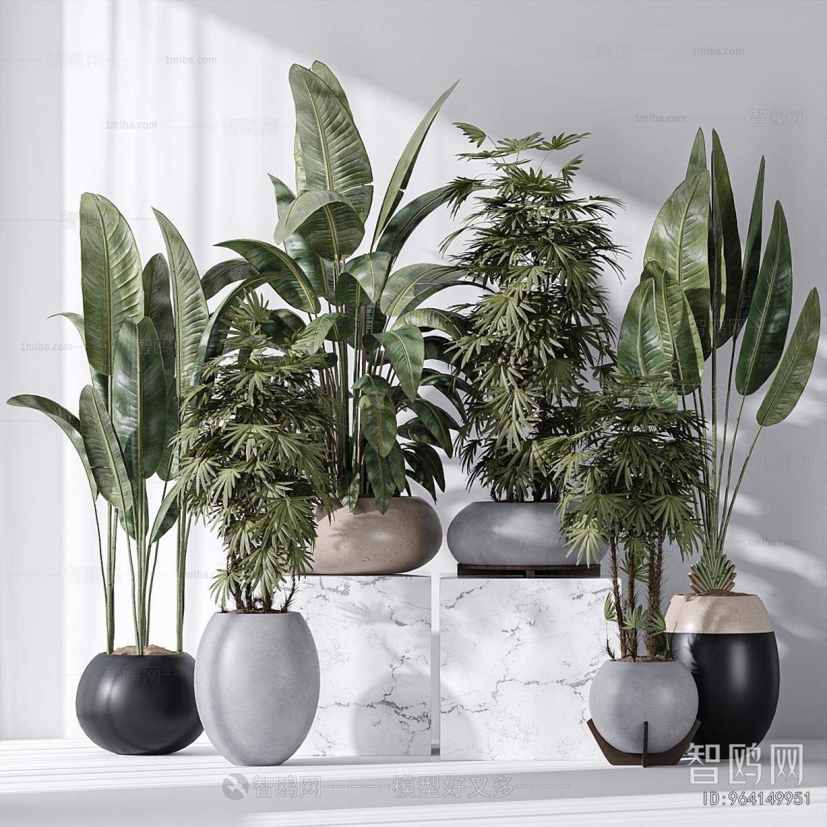 Modern Ground Green Plant Potted Plants