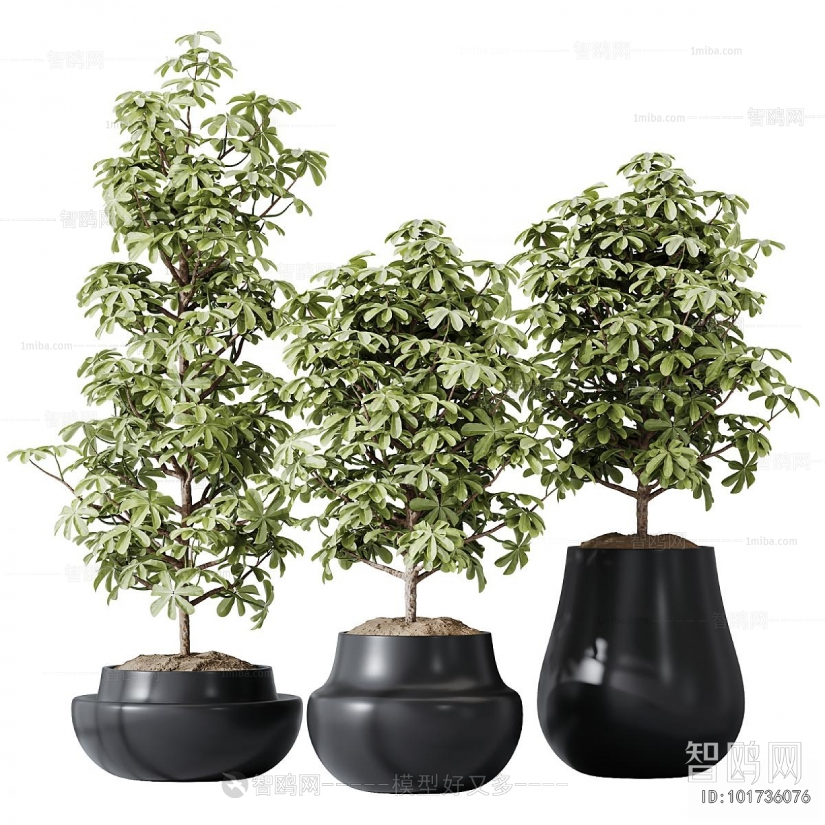 Modern Ground Green Plant Potted Plants