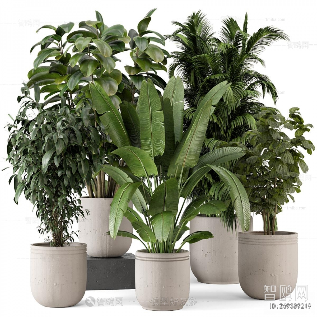 Modern Ground Green Plant Potted Plants