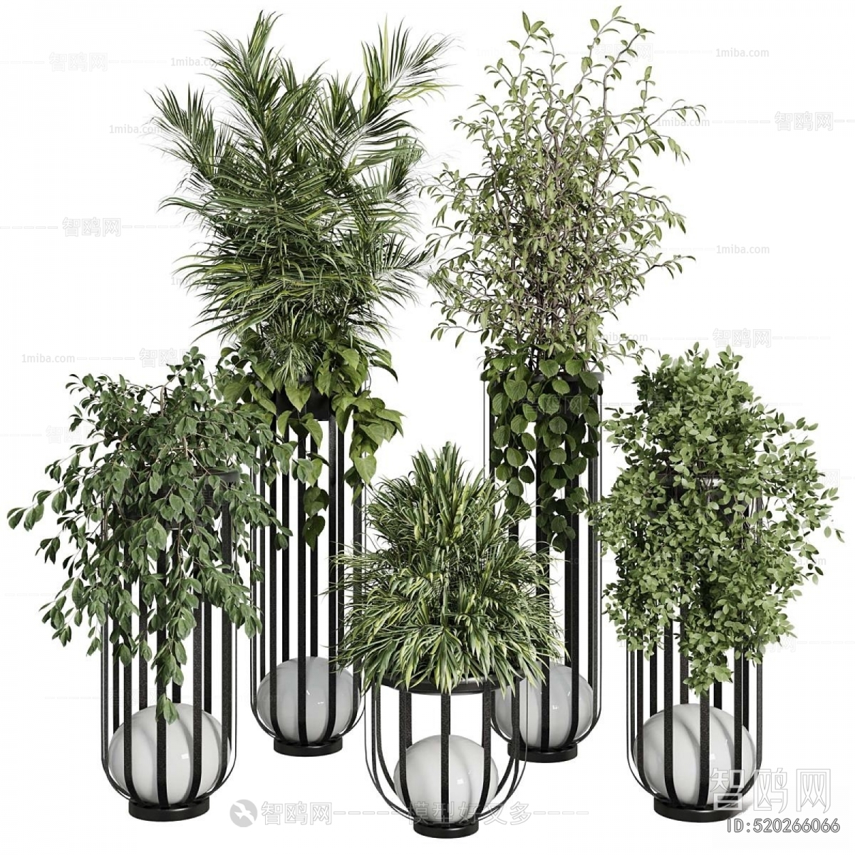 Modern Ground Green Plant Potted Plants
