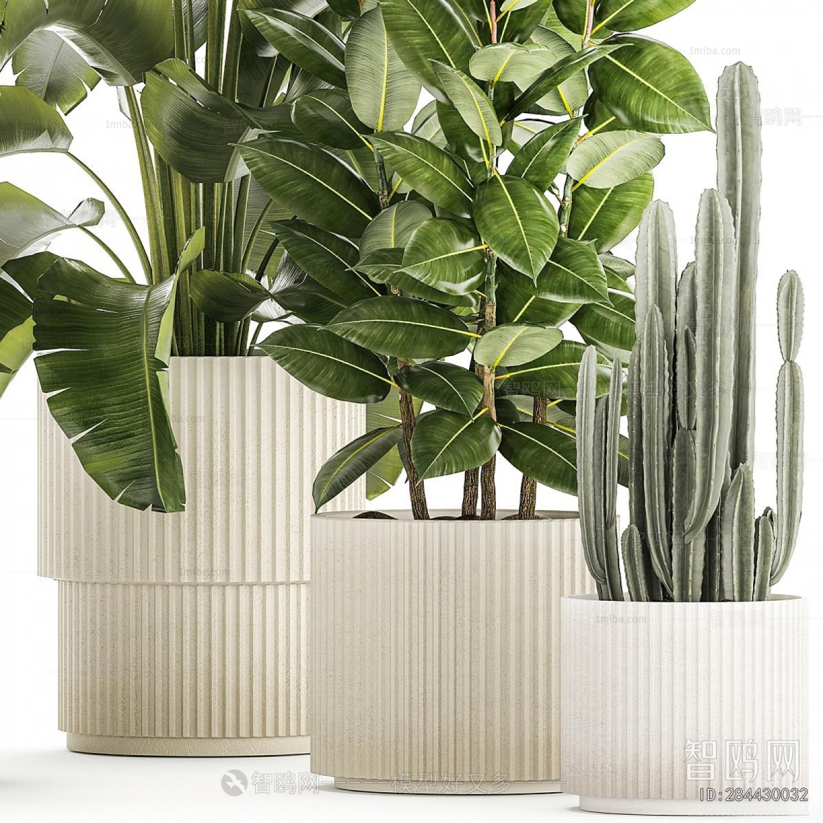 Modern Ground Green Plant Potted Plants