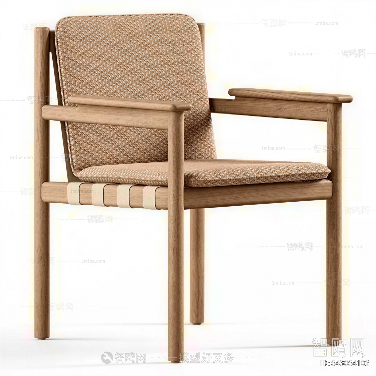 Modern Lounge Chair