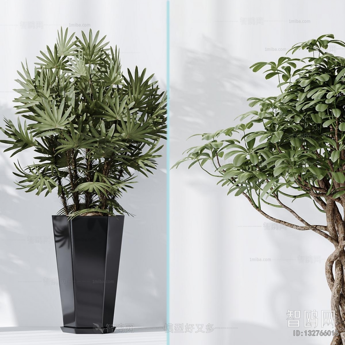 Modern Ground Green Plant Potted Plants