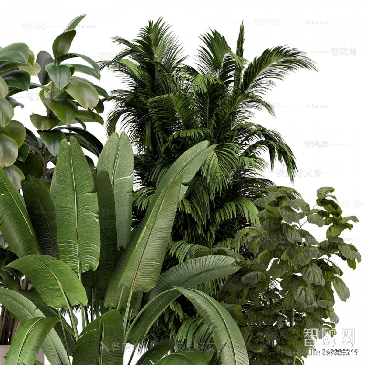 Modern Ground Green Plant Potted Plants