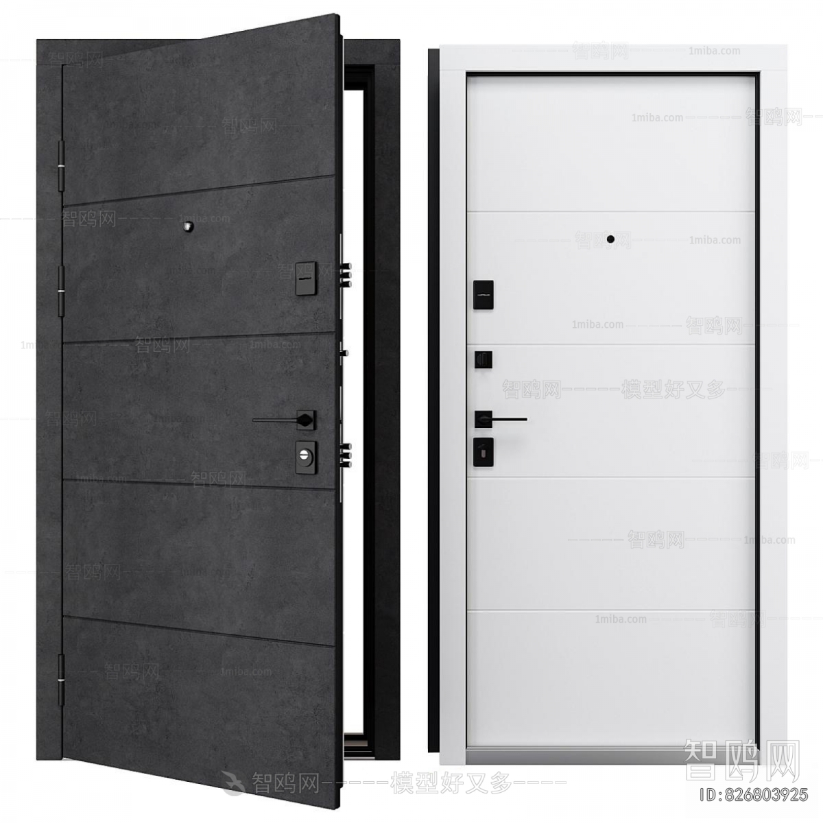 Modern Entrance Door