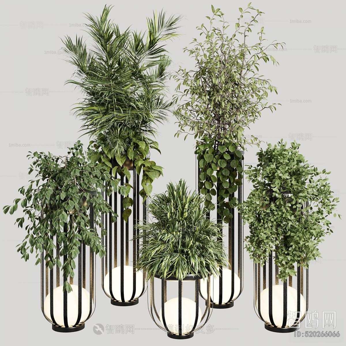 Modern Ground Green Plant Potted Plants