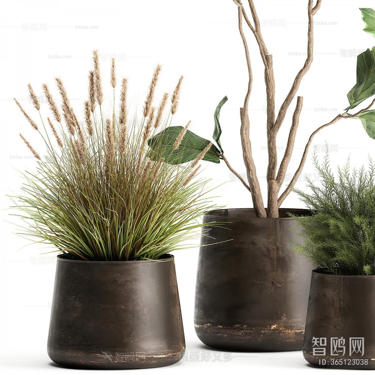 Modern Ground Green Plant Potted Plants