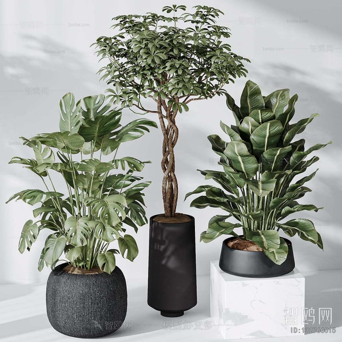Modern Ground Green Plant Potted Plants