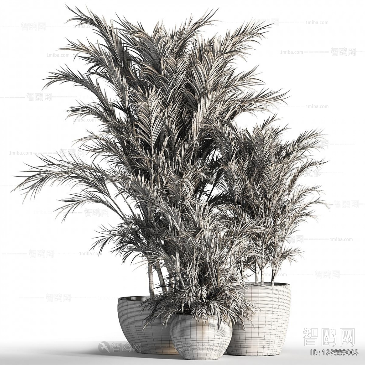Modern Ground Green Plant Potted Plants