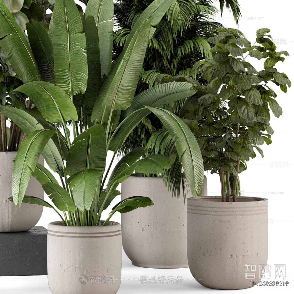 Modern Ground Green Plant Potted Plants