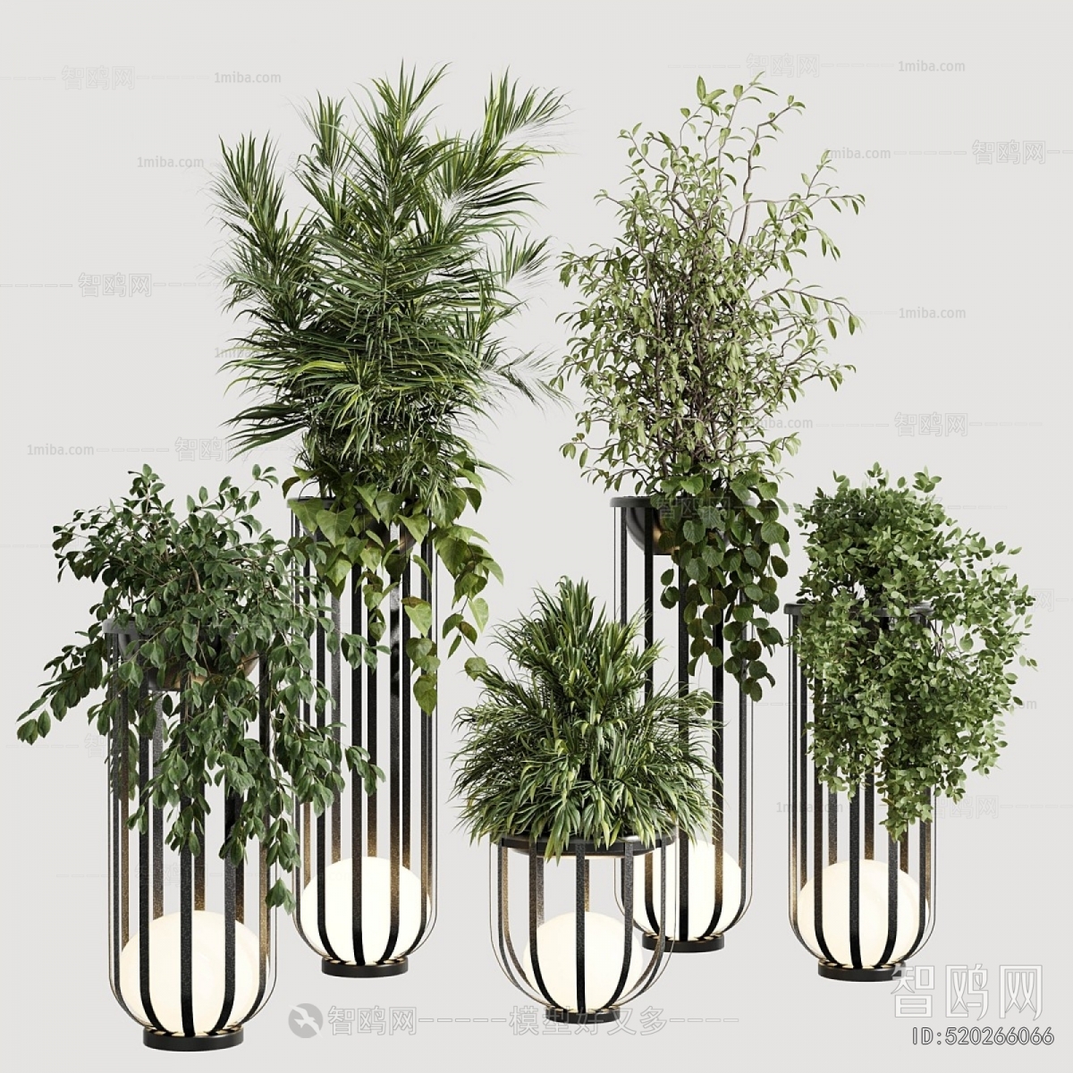 Modern Ground Green Plant Potted Plants