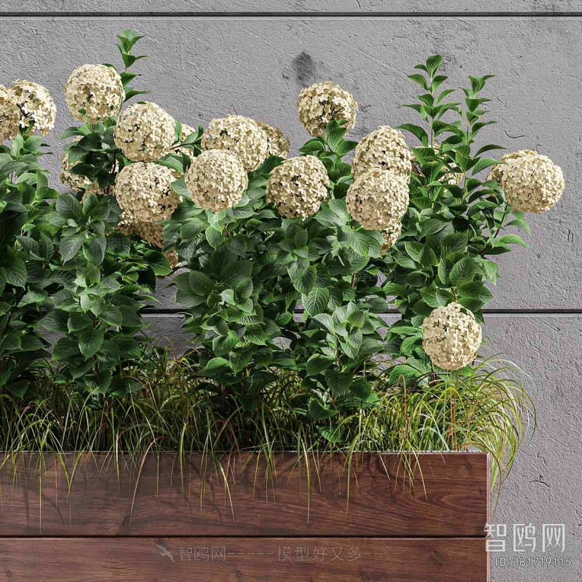 Modern Flower Bed, Flower Bowl, Flower Box