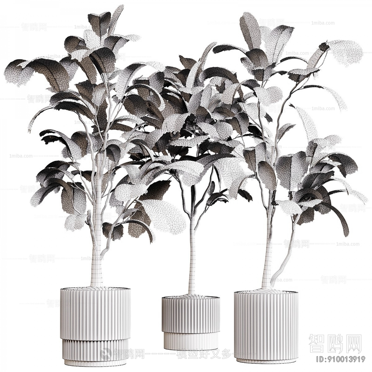 Modern Ground Green Plant Potted Plants