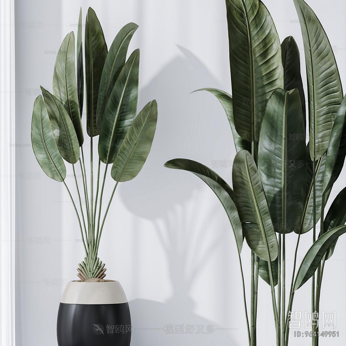 Modern Ground Green Plant Potted Plants