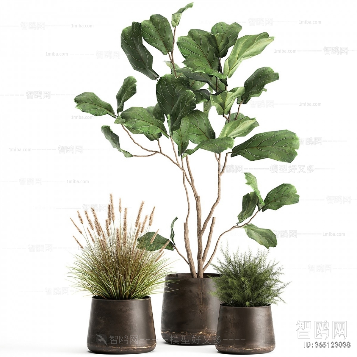 Modern Ground Green Plant Potted Plants