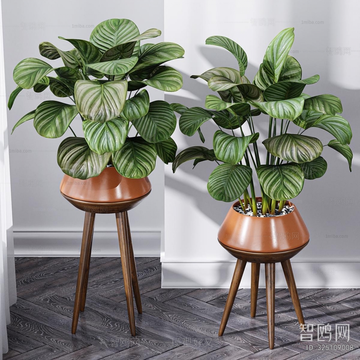 Modern Potted Green Plant