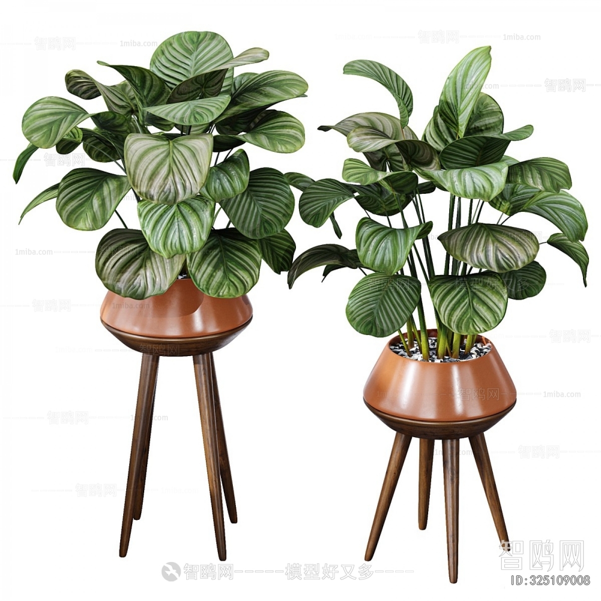 Modern Potted Green Plant