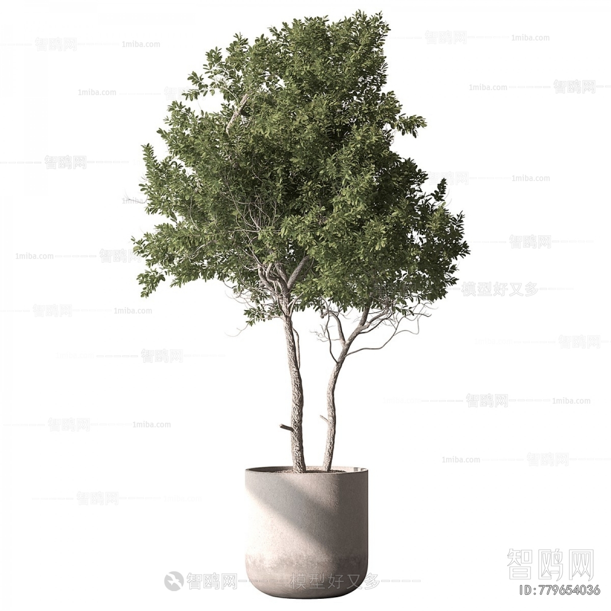 Modern Ground Green Plant Potted Plants