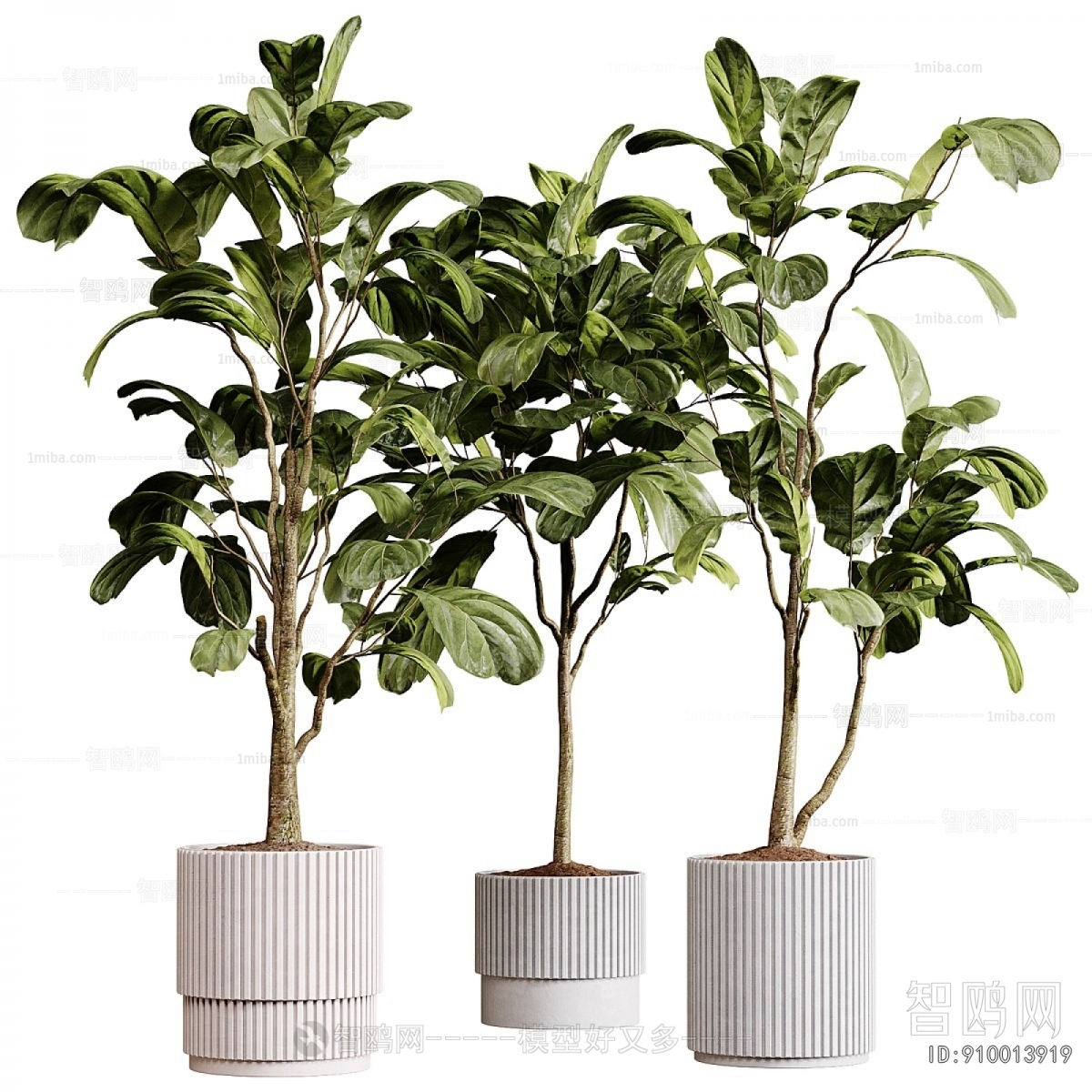 Modern Ground Green Plant Potted Plants