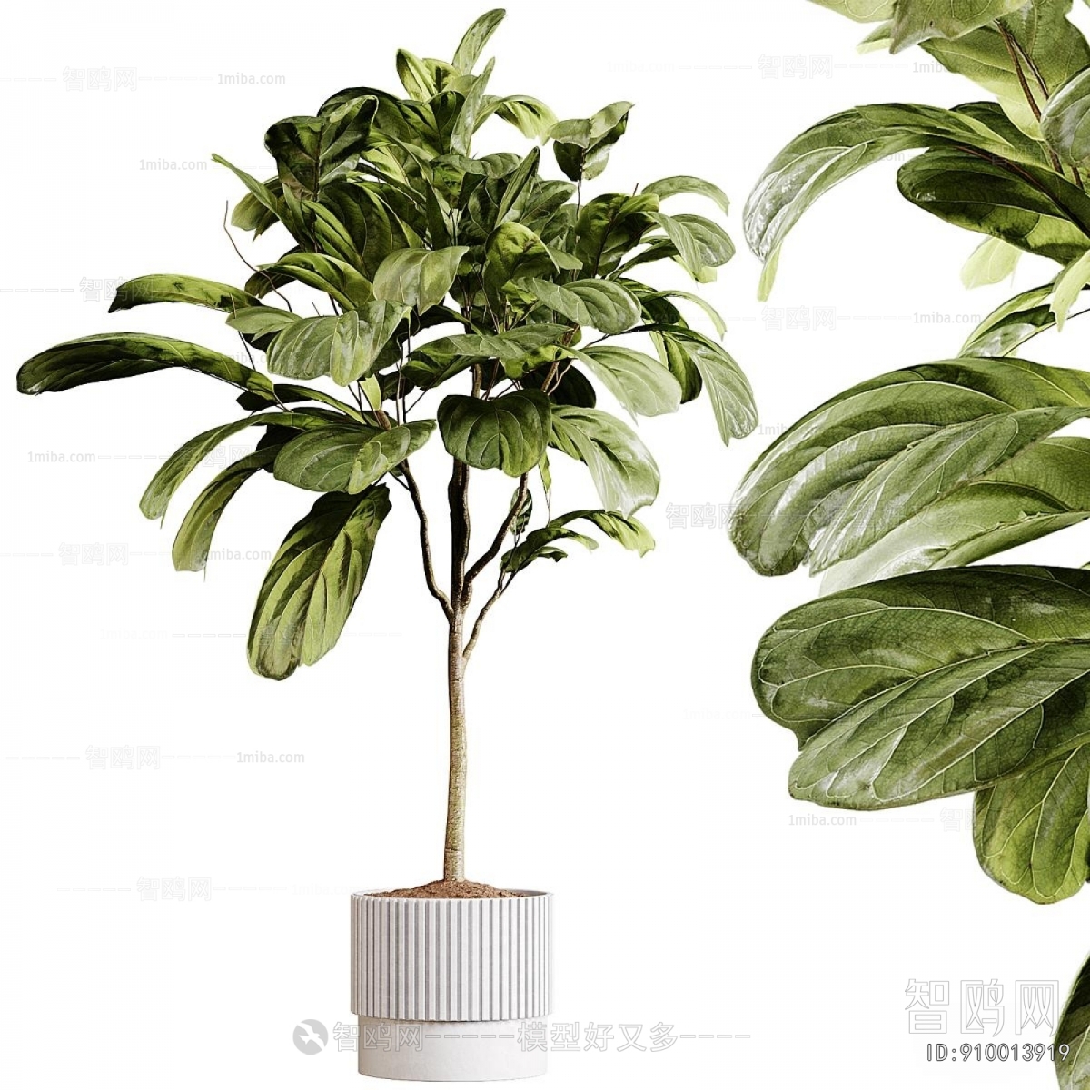 Modern Ground Green Plant Potted Plants
