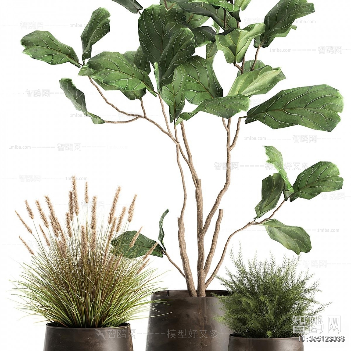 Modern Ground Green Plant Potted Plants