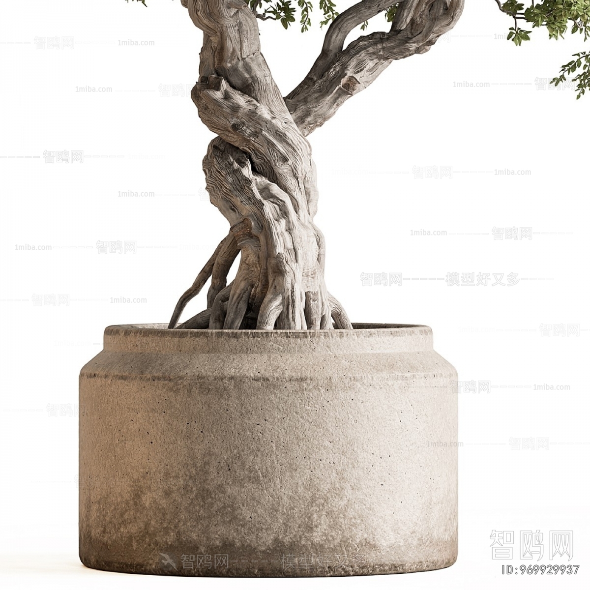 Modern Ground Green Plant Potted Plants