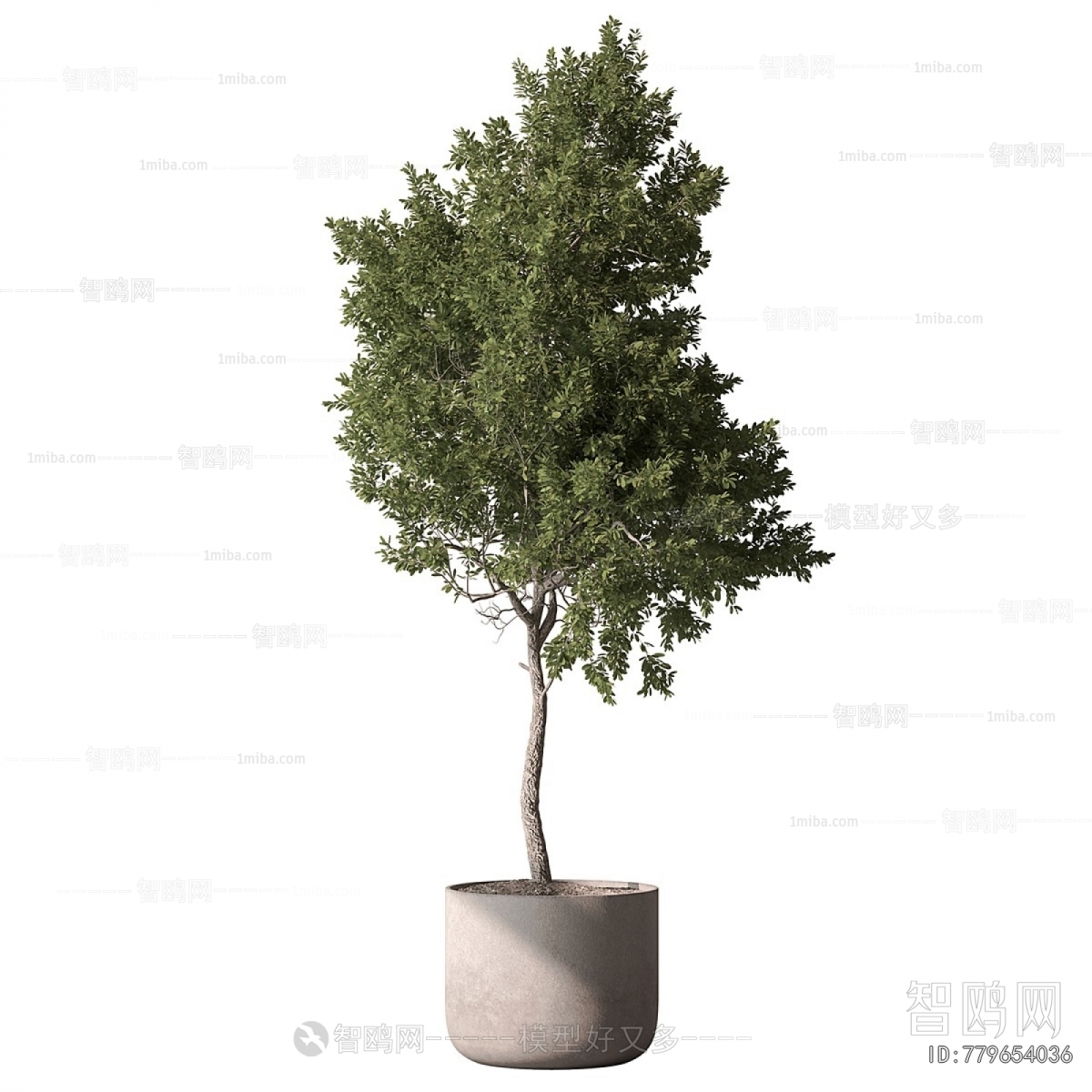 Modern Ground Green Plant Potted Plants