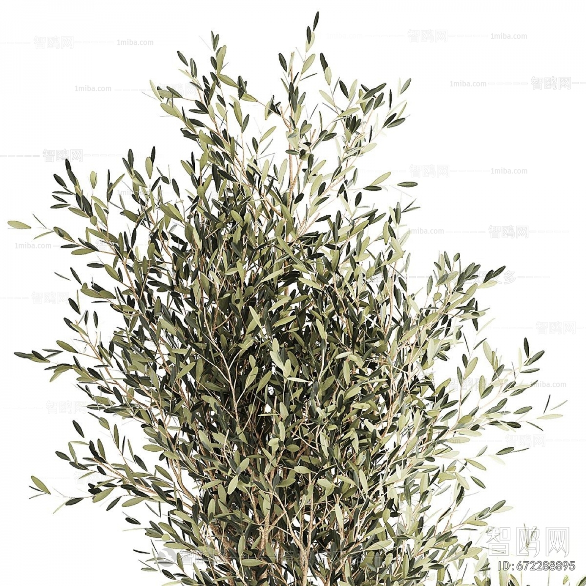 Modern Ground Green Plant Potted Plants