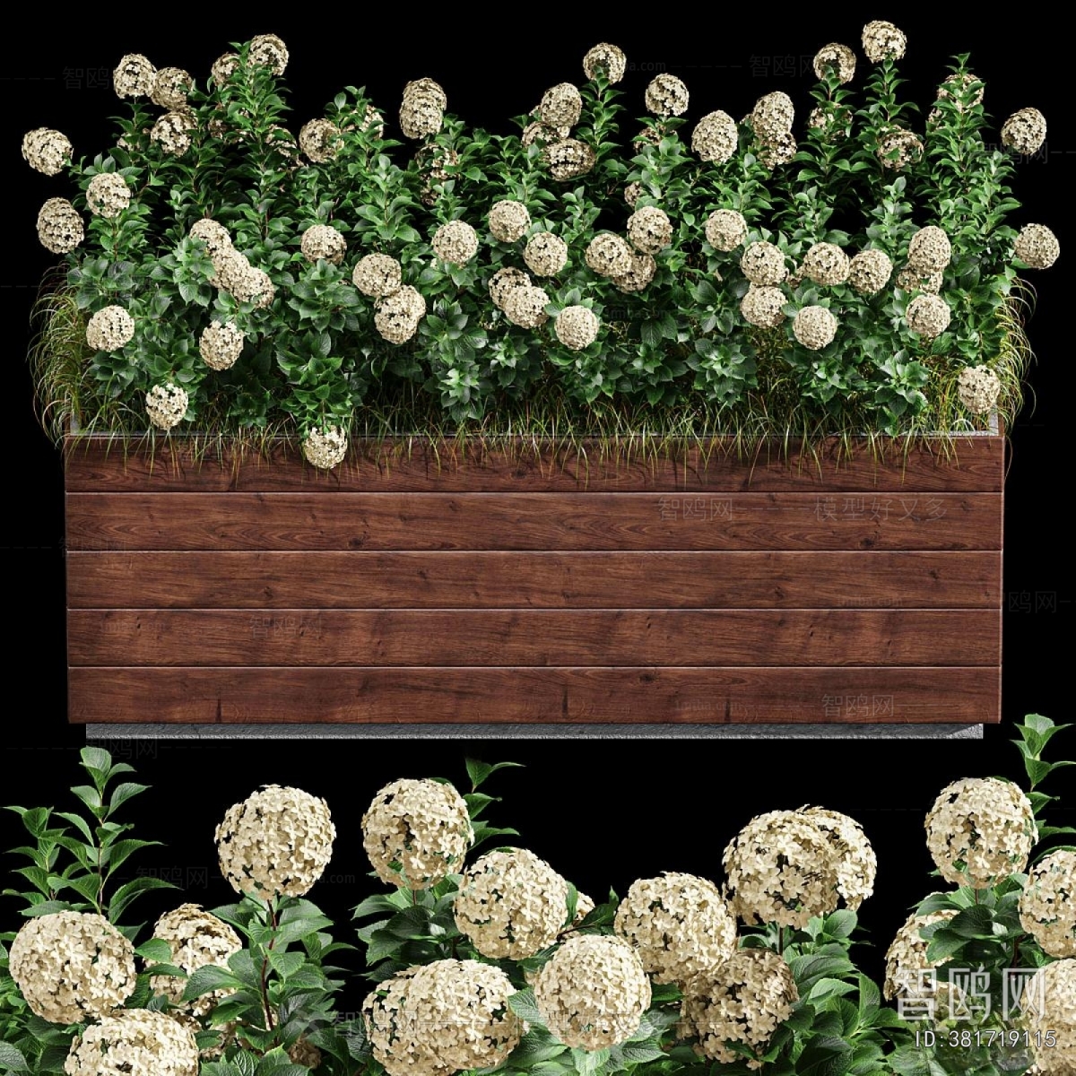 Modern Flower Bed, Flower Bowl, Flower Box