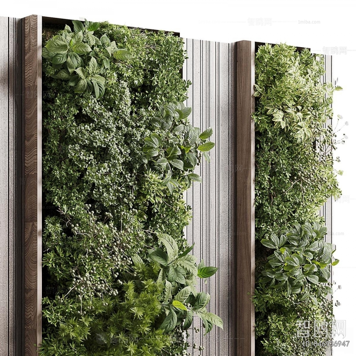 Modern Plant Wall