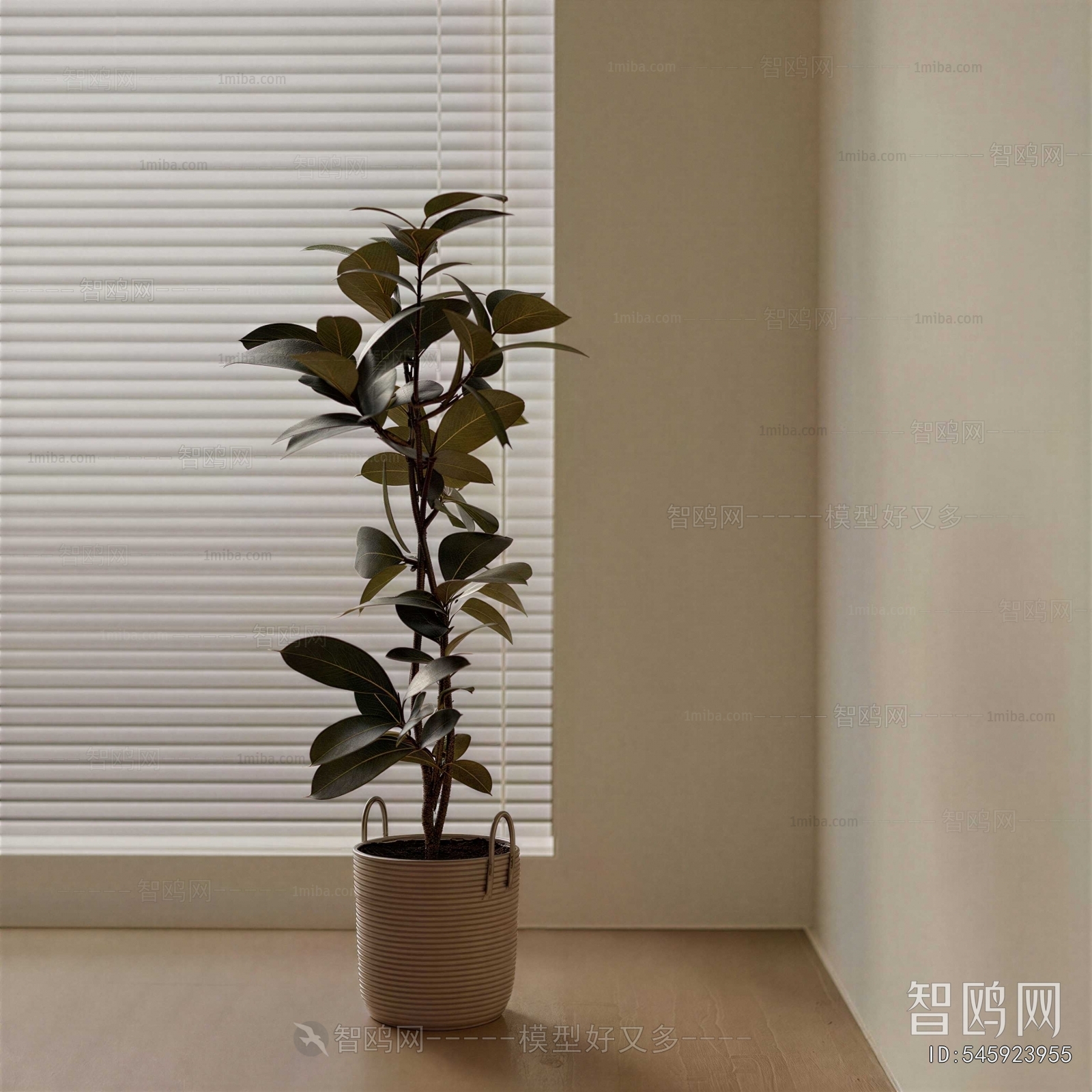 Modern Ground Green Plant Potted Plants