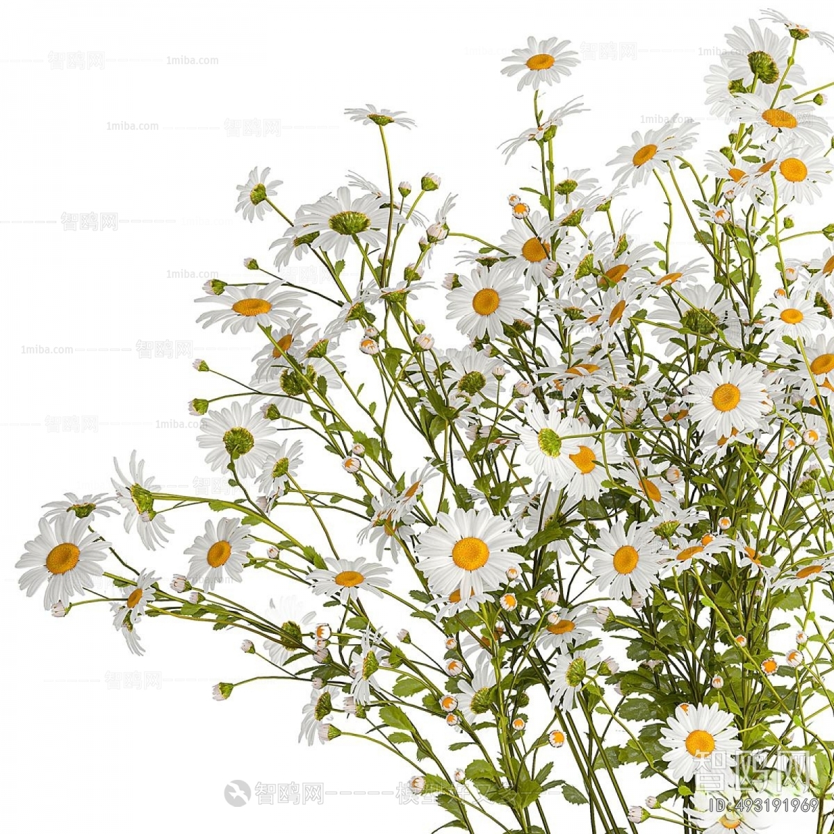 Modern Flower Arrangement