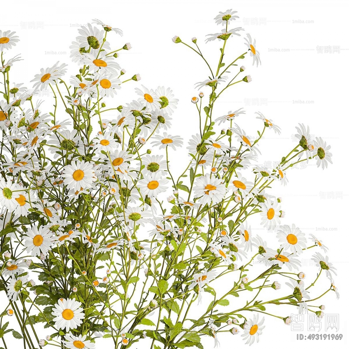 Modern Flower Arrangement