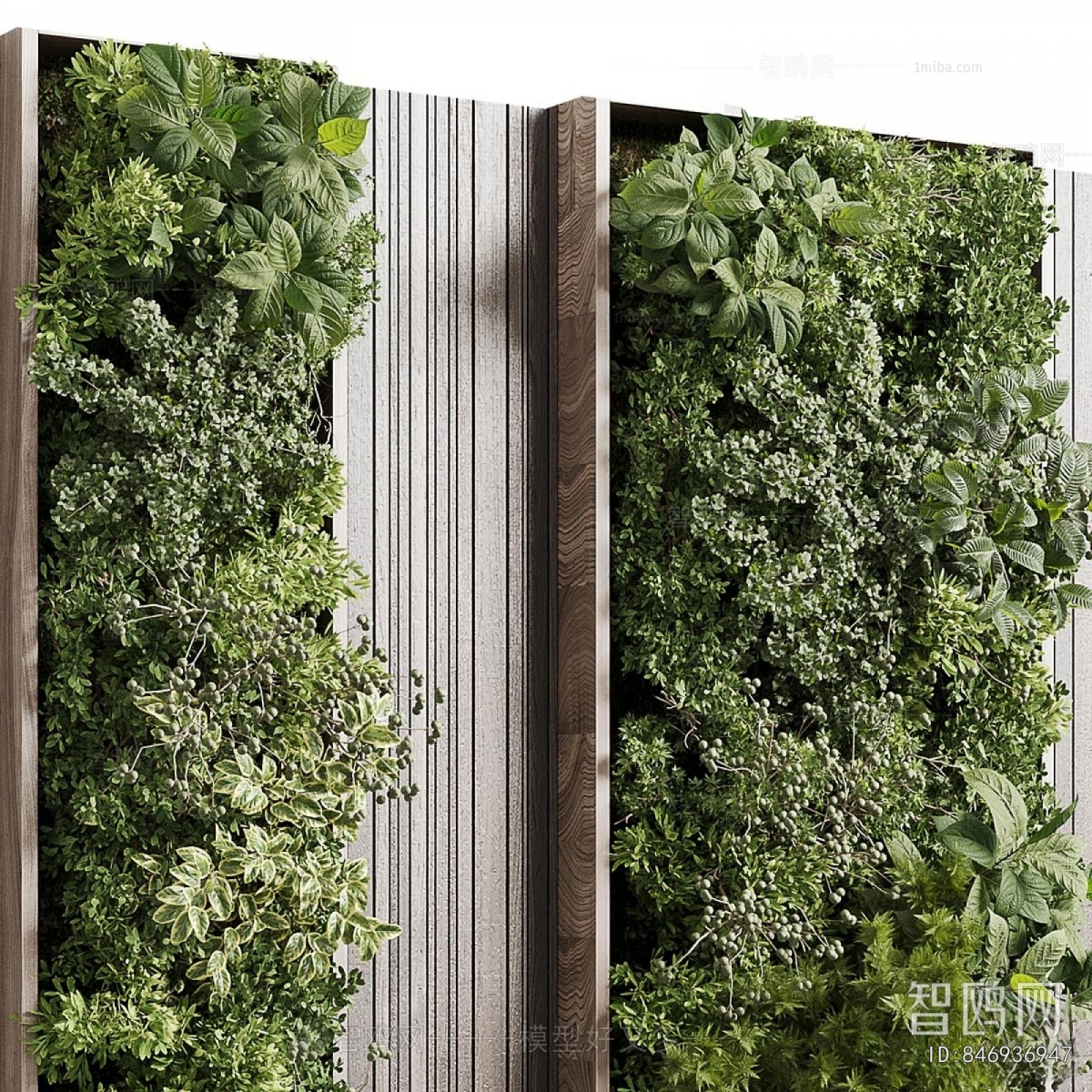 Modern Plant Wall