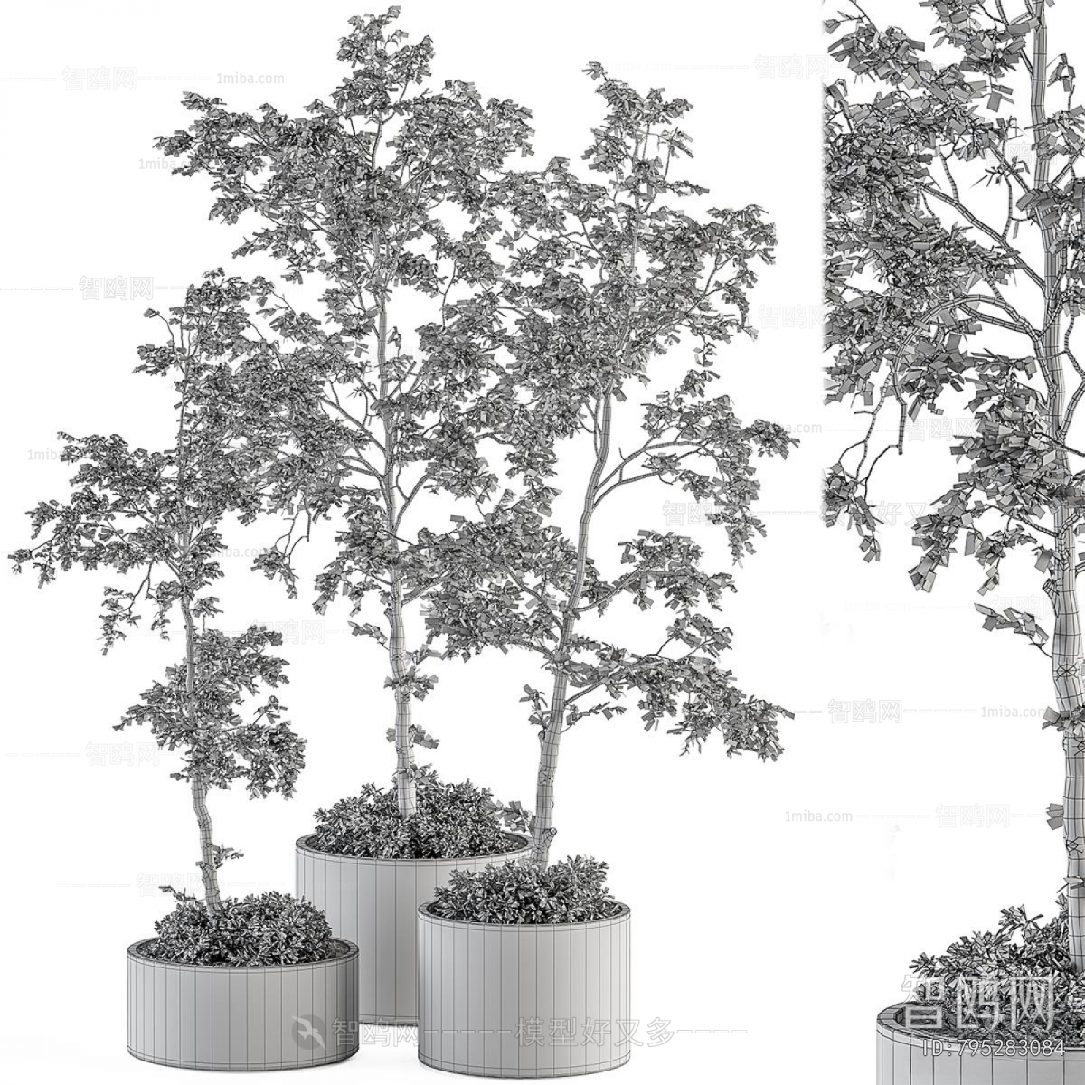 Modern Ground Green Plant Potted Plants