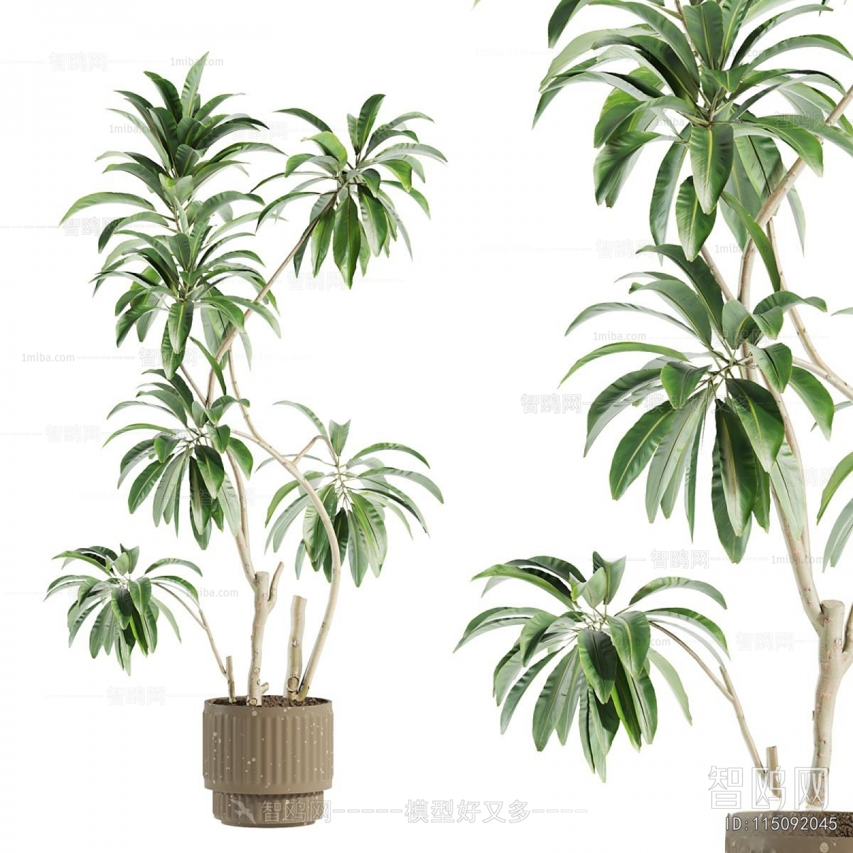 Modern Ground Green Plant Potted Plants