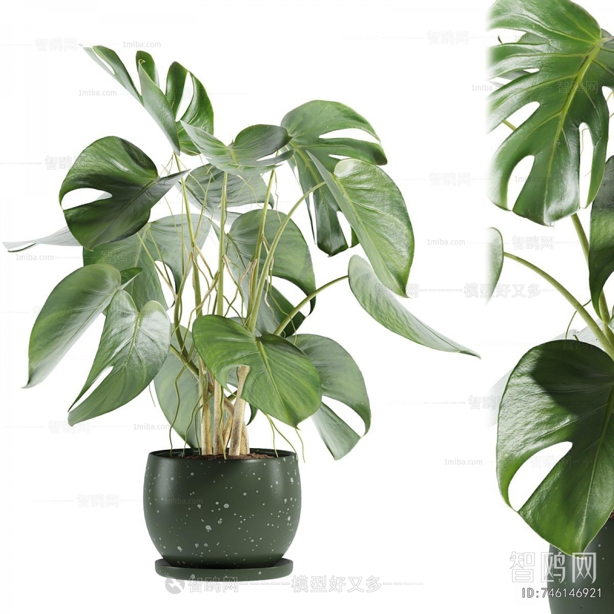 Modern Potted Green Plant