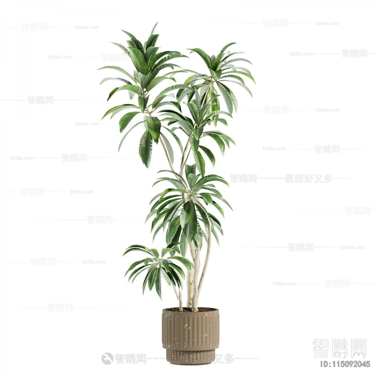 Modern Ground Green Plant Potted Plants