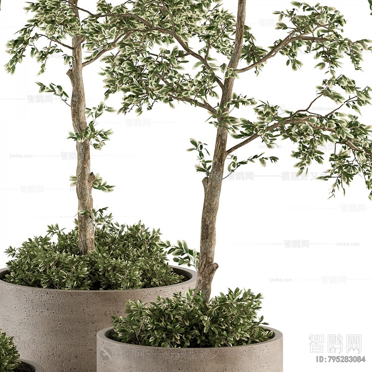 Modern Ground Green Plant Potted Plants
