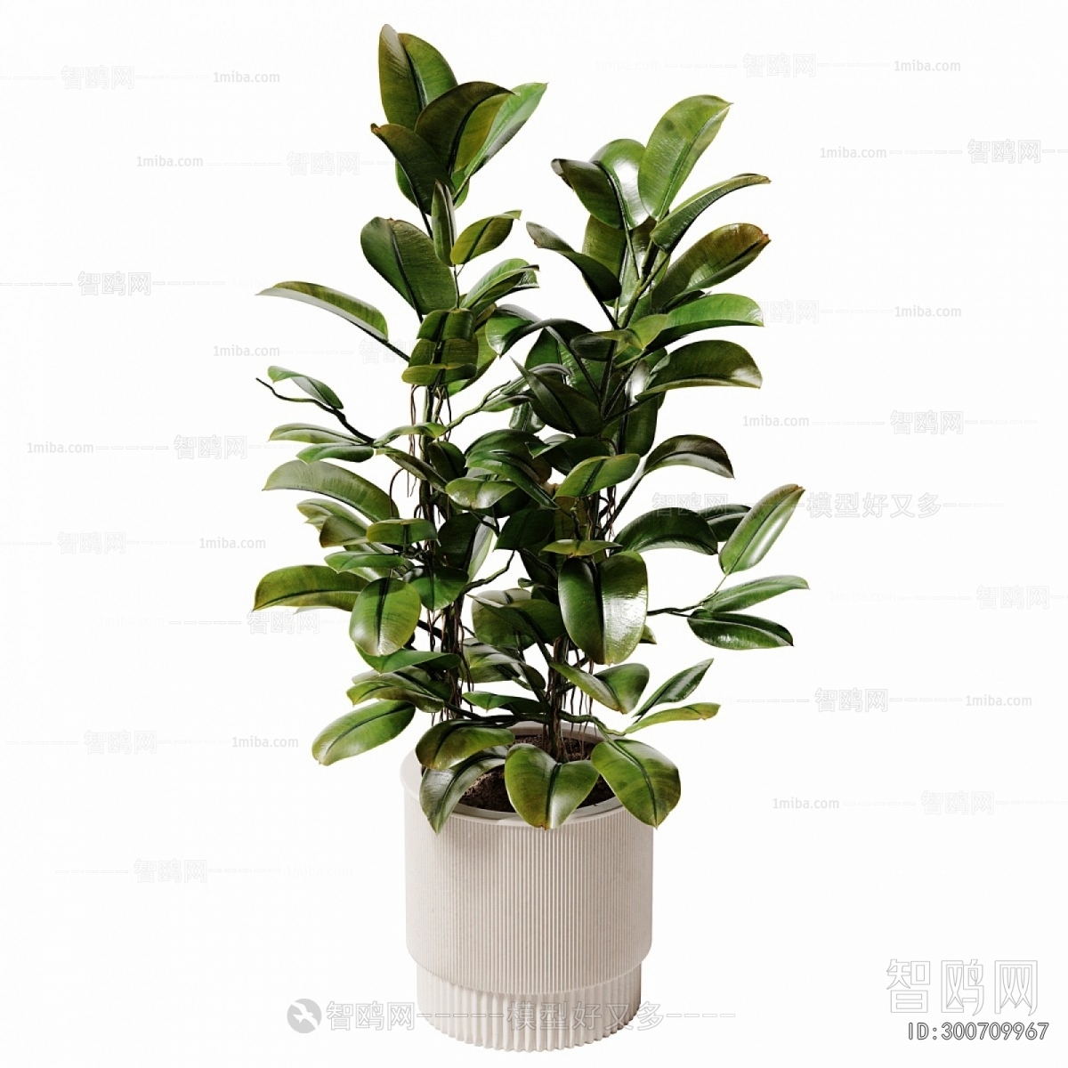 Modern Ground Green Plant Potted Plants
